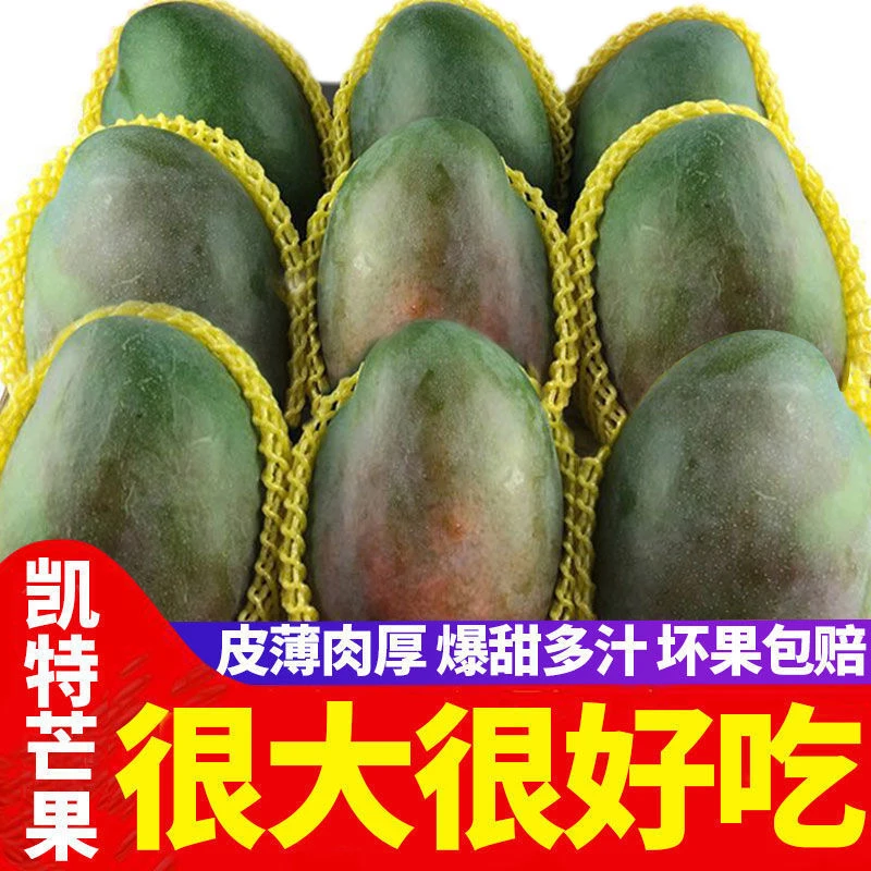 包邮净重10斤海南芒果特产 青皮澳芒 当季新鲜水果整箱芒果1g