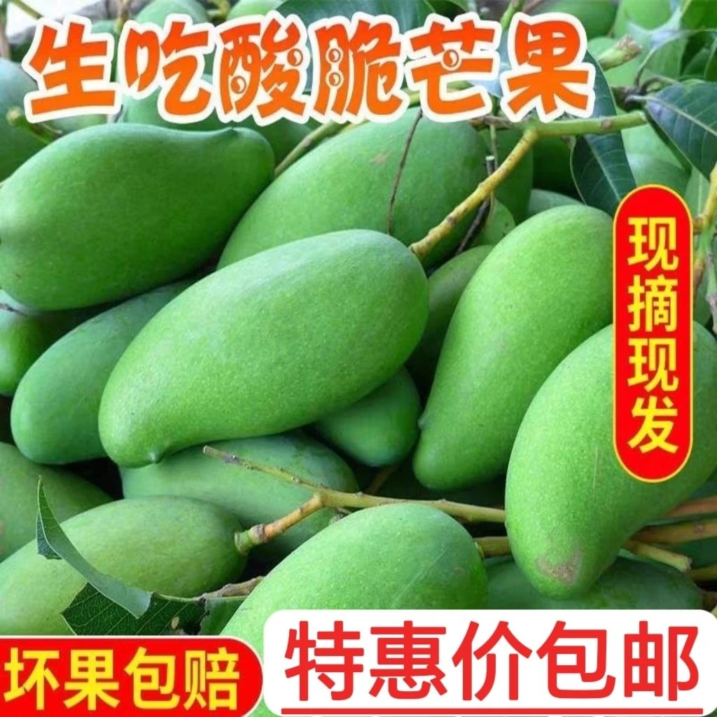 【酸甜可口】生吃酸芒果海南象牙芒5斤新鲜水果1/3斤酸脆小青芒1g