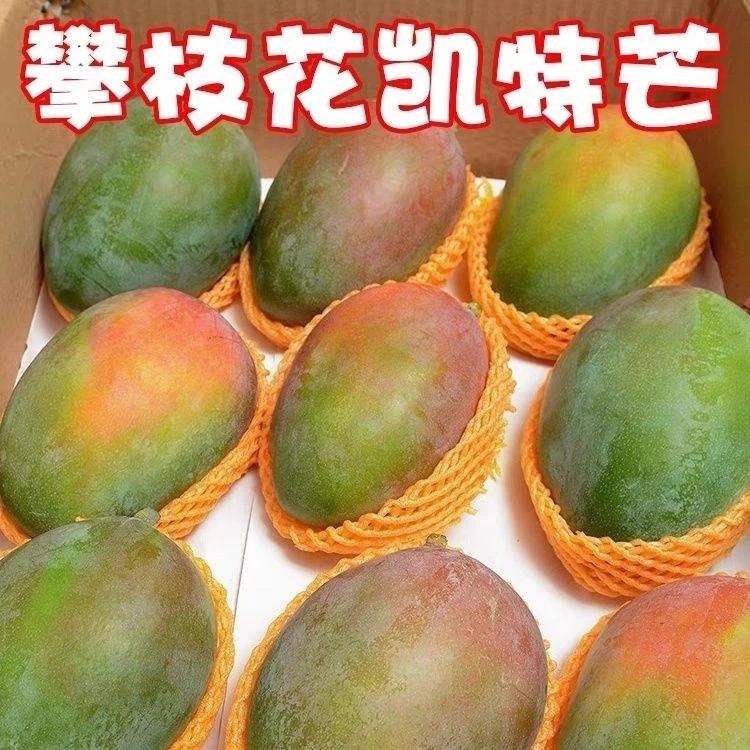 攀枝花凯特芒果新鲜当季水果特大青忙果四川芒果水果特大号甜心1g