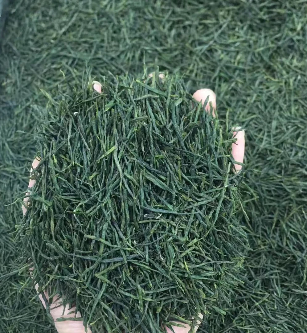 新茶2025雨前茶毛尖500g大别山茶孝感大悟黄冈麻城红安绿直条毛尖