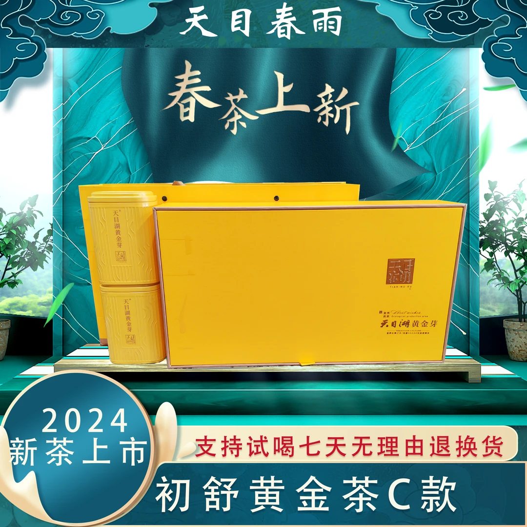 【初舒黄金茶C】2024花果香雨前春茶黄金茶茶汤试喝罐装