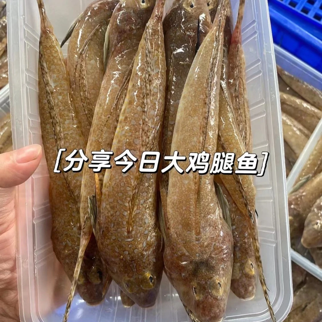 鸡腿鱼 箭头鱼 任意混搭满5斤广东包邮 广东惠来神泉港 自然保鲜