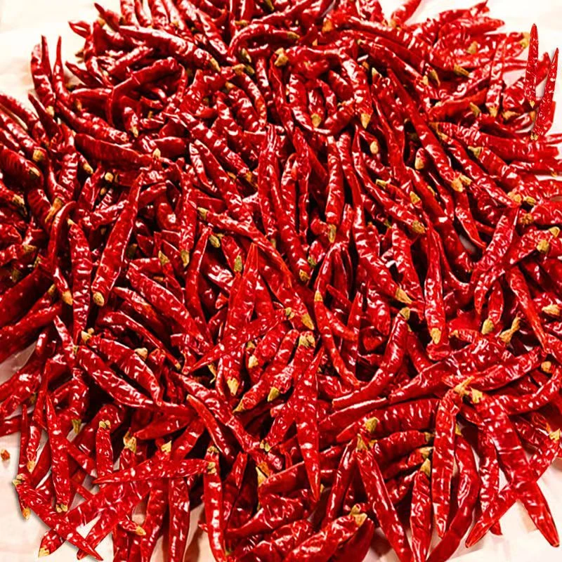 <连农云优选专属>自然风干 农家巨辣干辣椒魔鬼辣小米辣香辣微辣