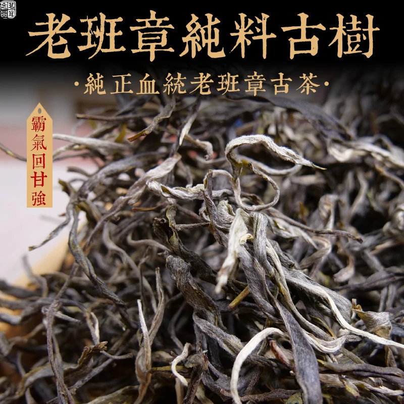 2024年春茶 老班章纯料古树散茶 云南茶古树散装茶 霸气回甘