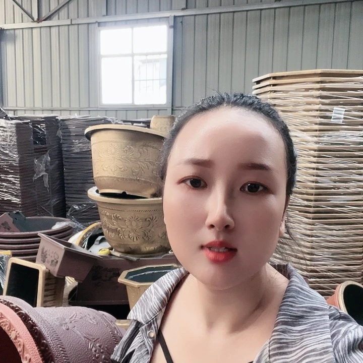 红陶20CM（含）-50CM（不含）