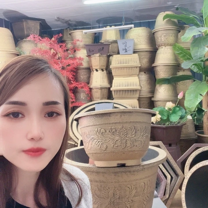 红陶盆898778988