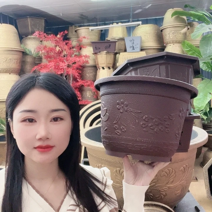 红陶20CM（含）-50CM（不含）