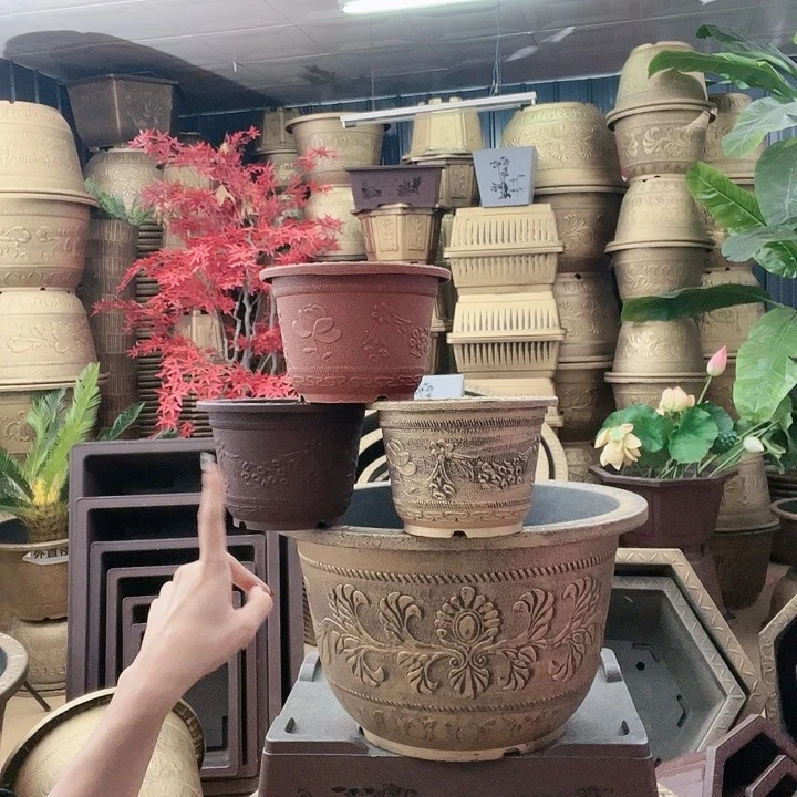 红陶20CM（含）-50CM（不含）