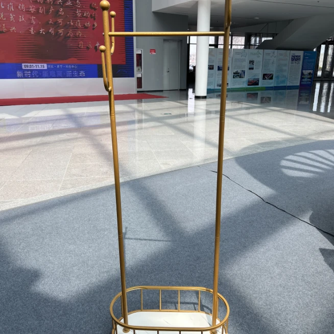 衣架落地卧室挂衣架可移动带轮家用客厅网红轻奢衣帽架