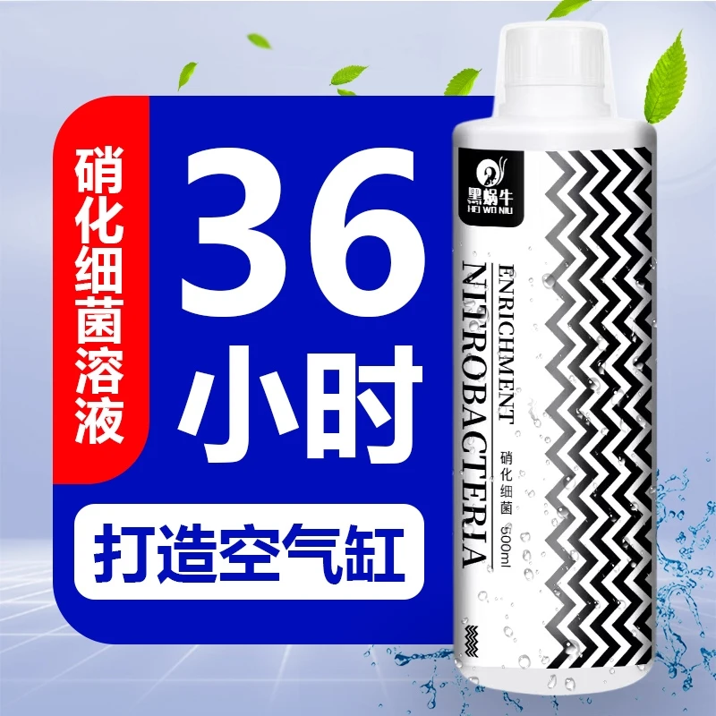 黑蜗牛鱼缸硝化细菌用于鱼缸水质发臭发腥发黄水质浑浊鱼缸空气缸