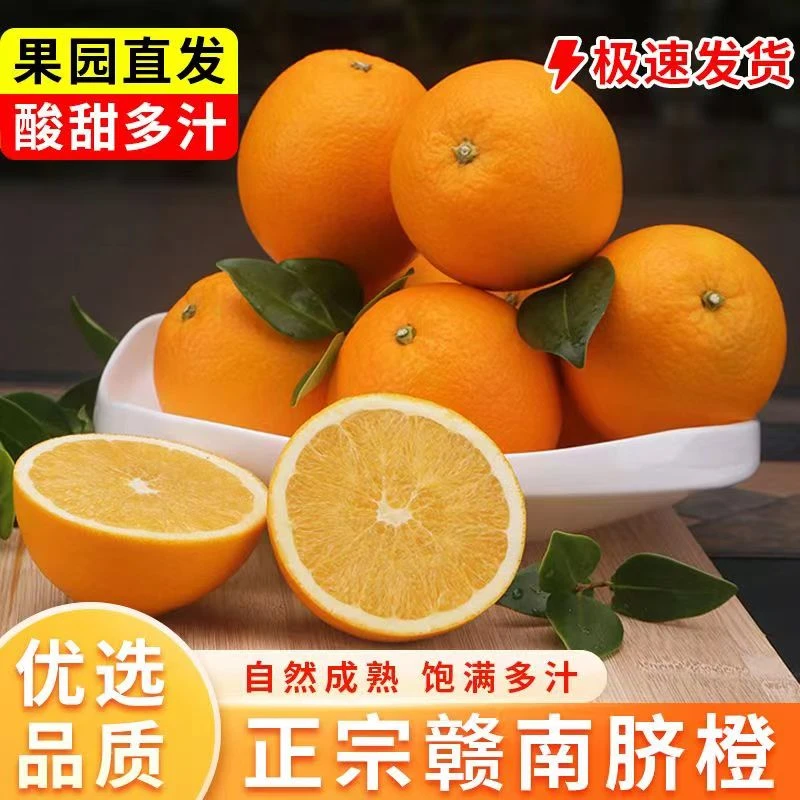 正宗江西赣南脐橙新鲜采摘橙子赣州会昌产地直发当季水果带箱10斤
