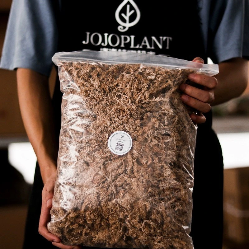 【水苔】浇浇植物智利毛毛虫水苔 干苔藓疏松鹿角蕨兰花种植介质