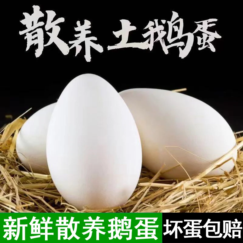 【苗族阿妹】新鲜散养鹅蛋5枚装单枚重120g左右双黄居多