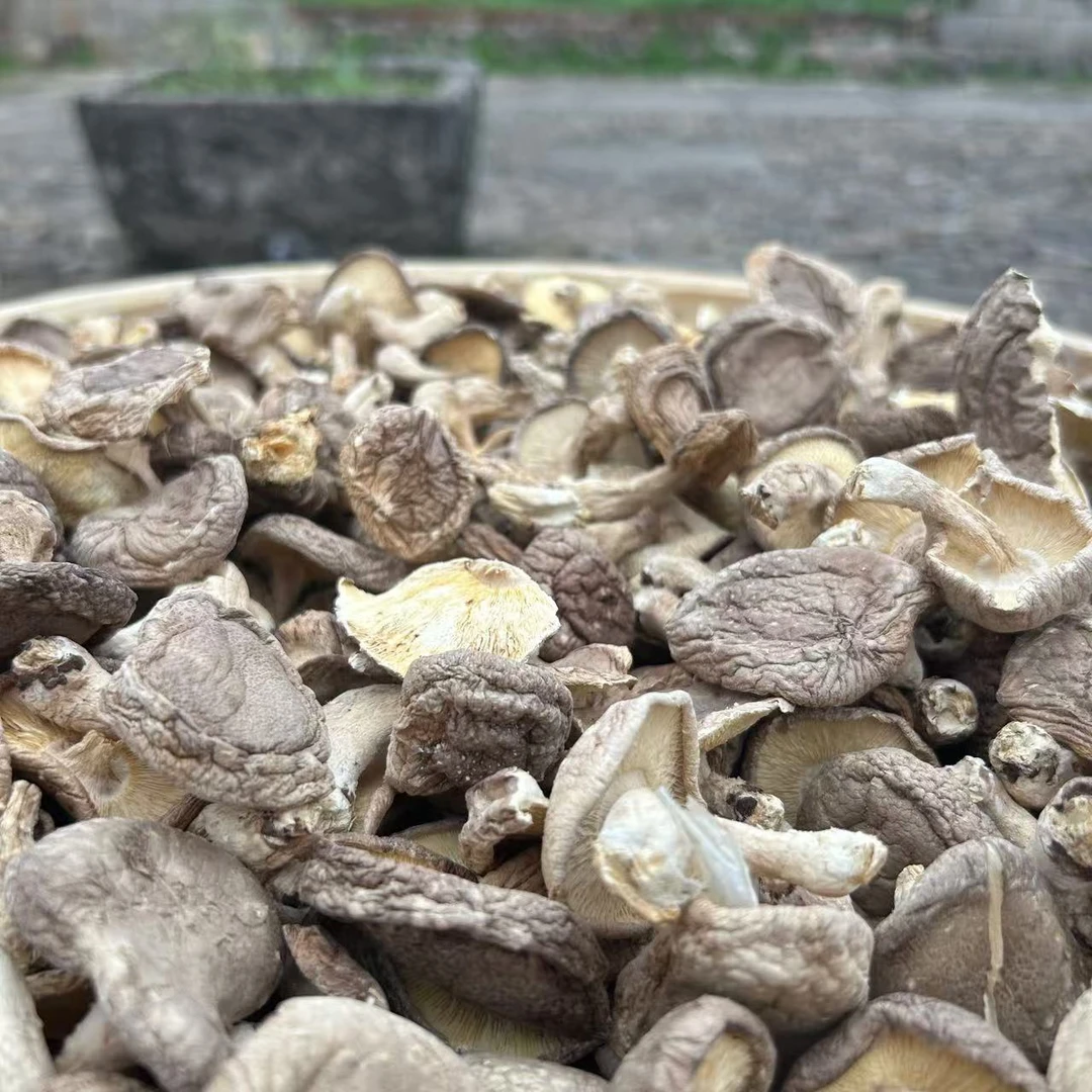 【六妹】农家 香信菇