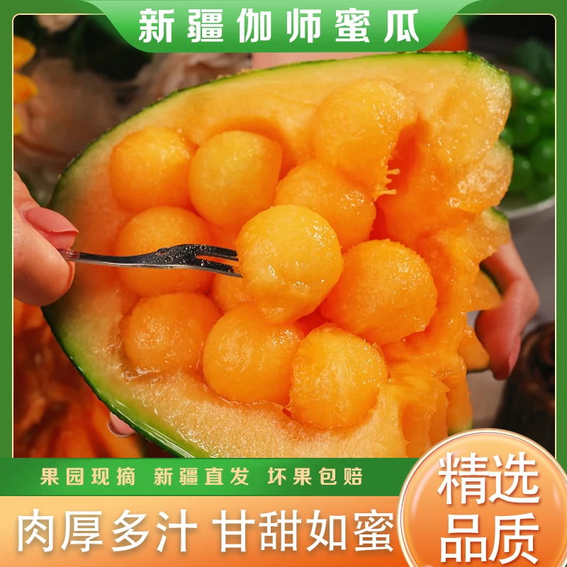 【顺丰空运】新疆伽师蜜瓜新鲜水果哈密瓜香甜多汁新疆直发8斤起