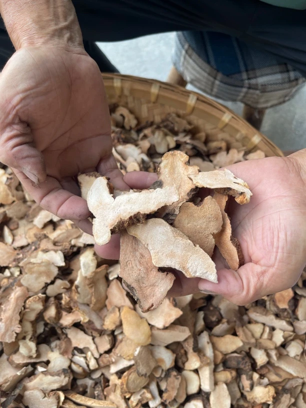 本土深山正野土茯苓晒干切片 250克