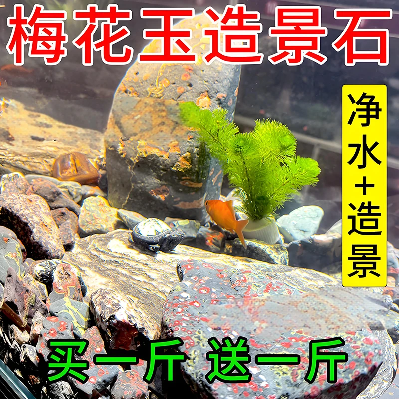 梅花石净水石鱼缸铺底造景观赏石过滤石水族箱花纹景观石天然原石