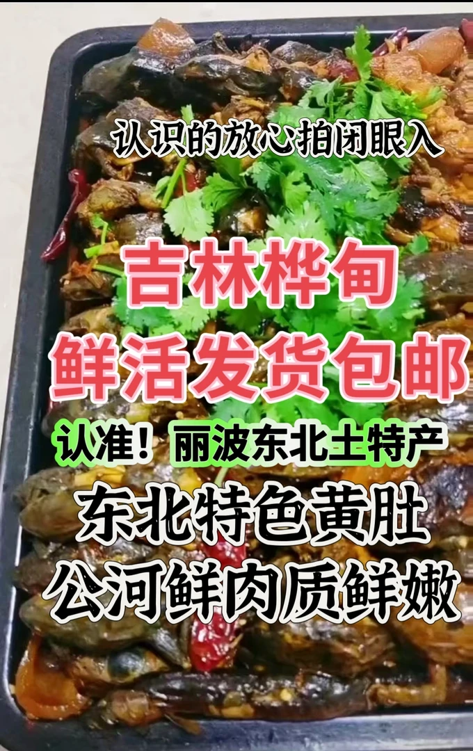 东北河鲜 蛤–(公子/快递包邮到家嘎嘎香！