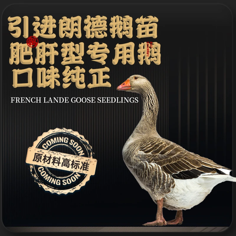 金钻鹅肝红酒蓝莓刺身料理金砖鹅肝无需解冻朗德鹅肝