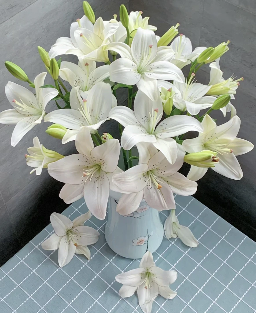 眼线百合 浪漫鲜花  昆明产地直发 低温地区未拍保温棉冻坏不售后