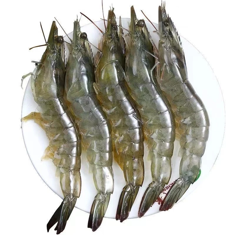 海捕盐冻大虾  连云港发货