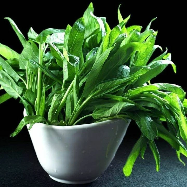 柳叶空心菜种籽四季播阳台农家田园春夏季尖叶空心菜子庭院