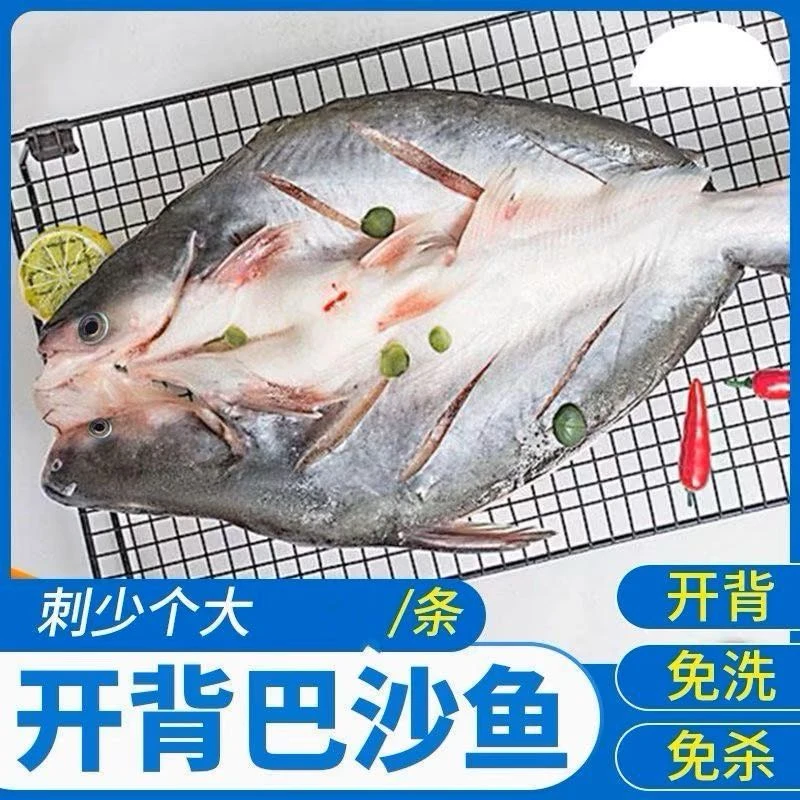 开背巴沙鱼 整条新鲜冷冻巴沙鱼