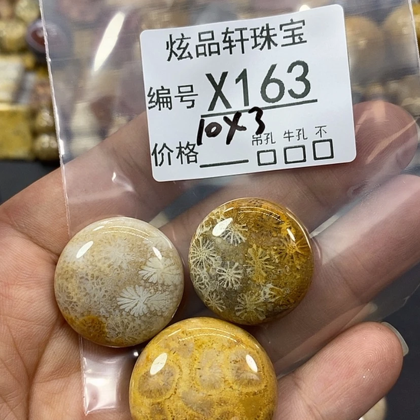 【闪购商品】硅化珊瑚（珊瑚玉）吊坠未镶嵌好***馆z 163