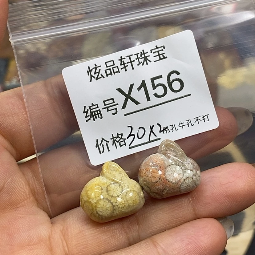 【闪购商品】硅化珊瑚（珊瑚玉）颈饰未镶嵌米*.k 156