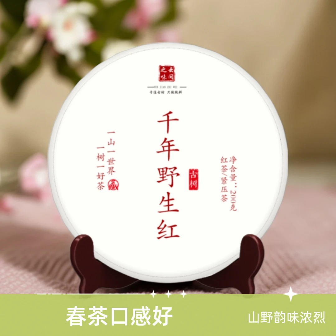 2023年 千年野生红 大雪山高杆 红茶 春茶 山野韵味浓烈