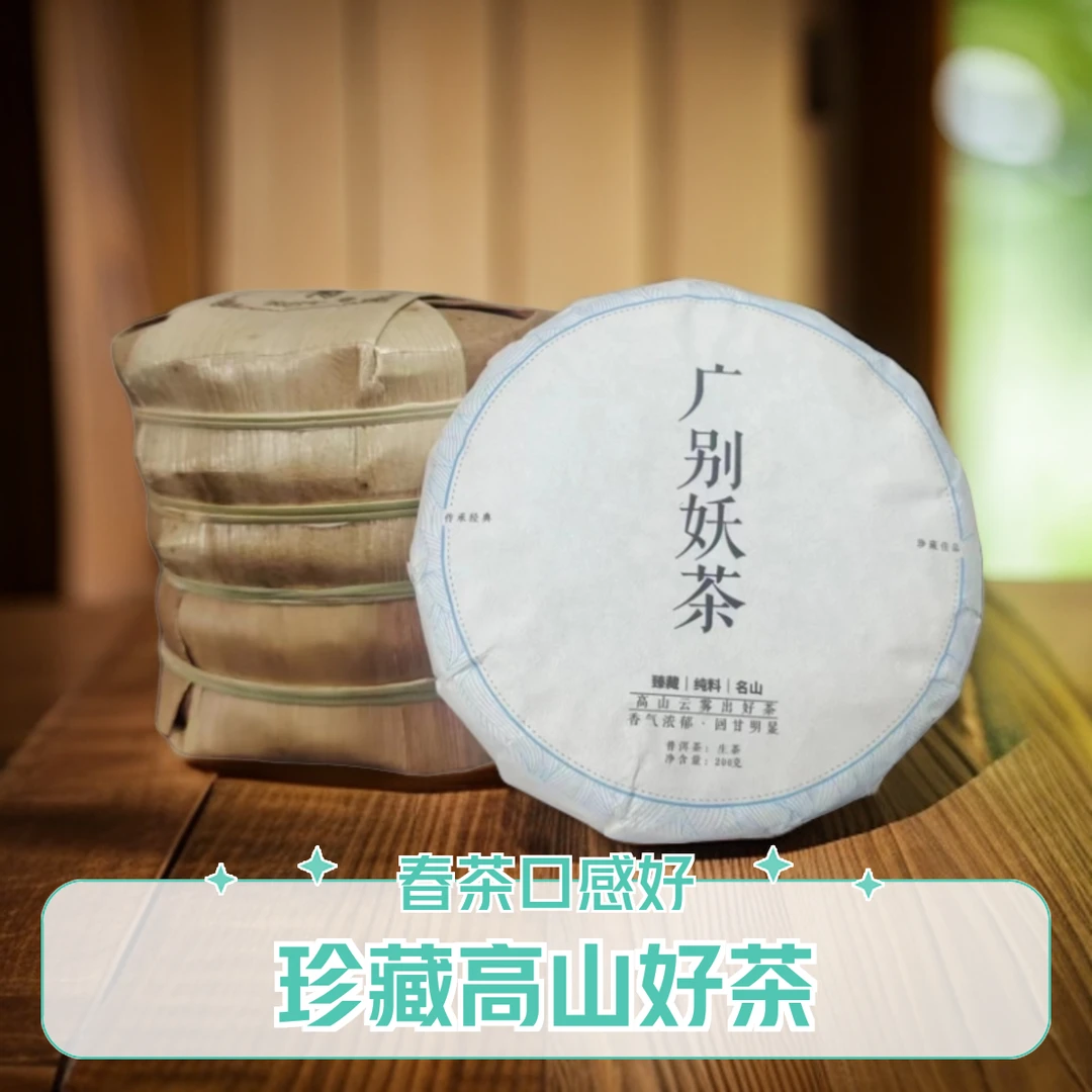 广别老寨 妖茶 春茶2023年 普洱茶 生茶 珍藏高山好茶