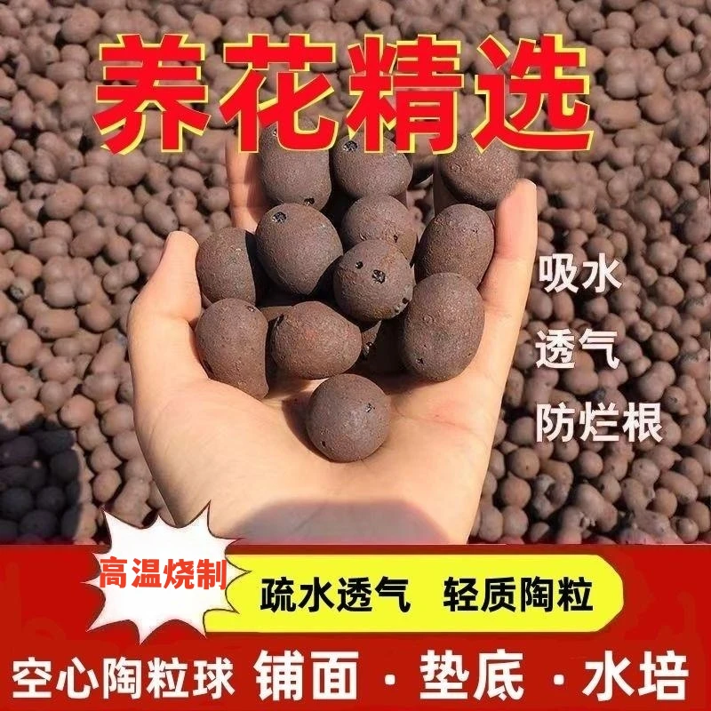 陶粒花盆垫底园艺通用型铺面室内垫底水培批发厕所多肉发财树颗粒