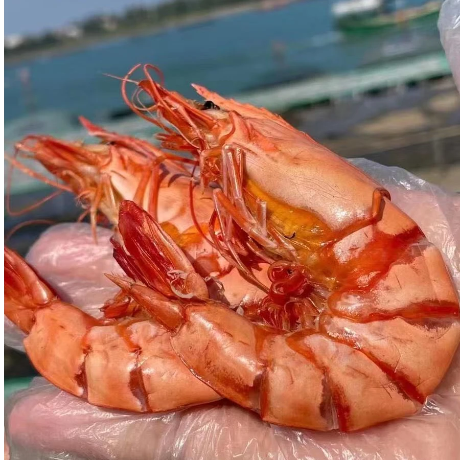 徐闻斑节虾干250克 湛江干货