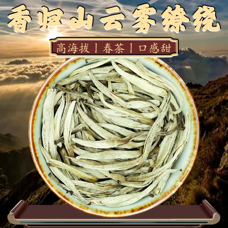 【香归茶王】浓香耐泡型特级茉莉花茶白毫银针毛尖月光美人250g袋装