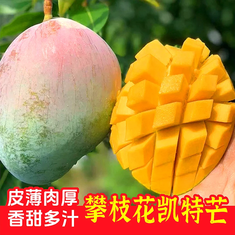 攀枝花凯特芒香甜多汁青皮大芒带箱3/5.5/10斤