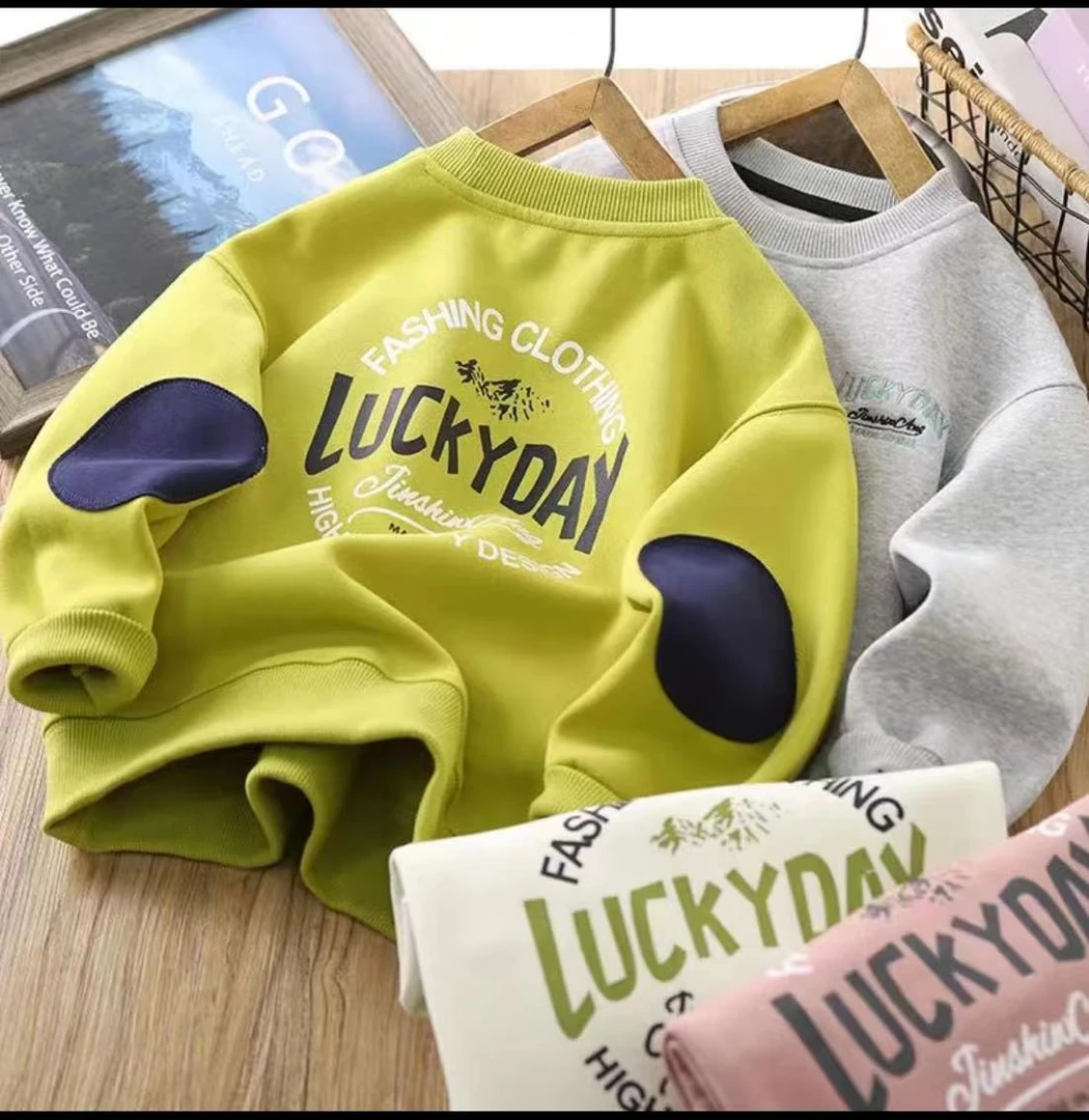 ZS-2301童装洋气时髦刺绣休闲男女百搭中大童长袖宽松圆领卫衣