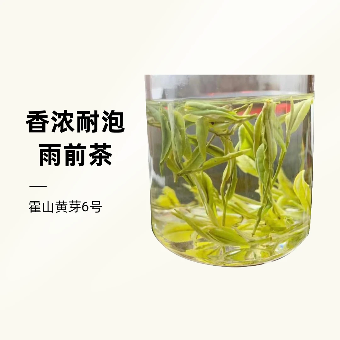 霍山黄芽6号大化坪直播雨前茶香浓耐泡新茶厂家直销50g/250g/500g
