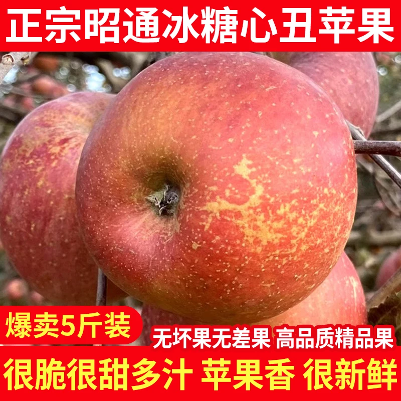 正宗云南昭通冰糖心丑苹果脆甜多汁一整箱当季新鲜水果红富士苹果