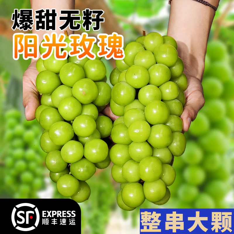 阿斯牛牛【顺丰】凉山西昌阳光玫瑰花香清脆纯甜3斤净含量