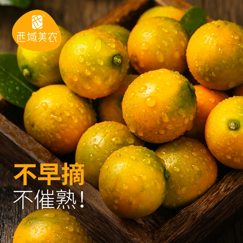 西域美农 广西柳州融安金桔2斤滑皮金桔小桔子水果产地直发皮薄