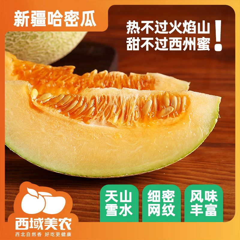新疆哈密瓜新疆特产4.5斤一枚装