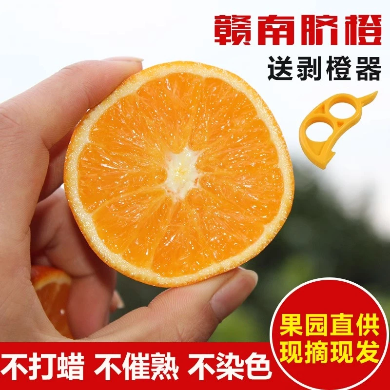 正宗赣南脐橙带箱5斤新鲜现摘脐橙江西赣州产地直发当季新鲜水果