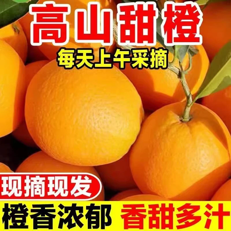 正宗赣南脐橙当季手剥新鲜孕妇水果赣州产地直发