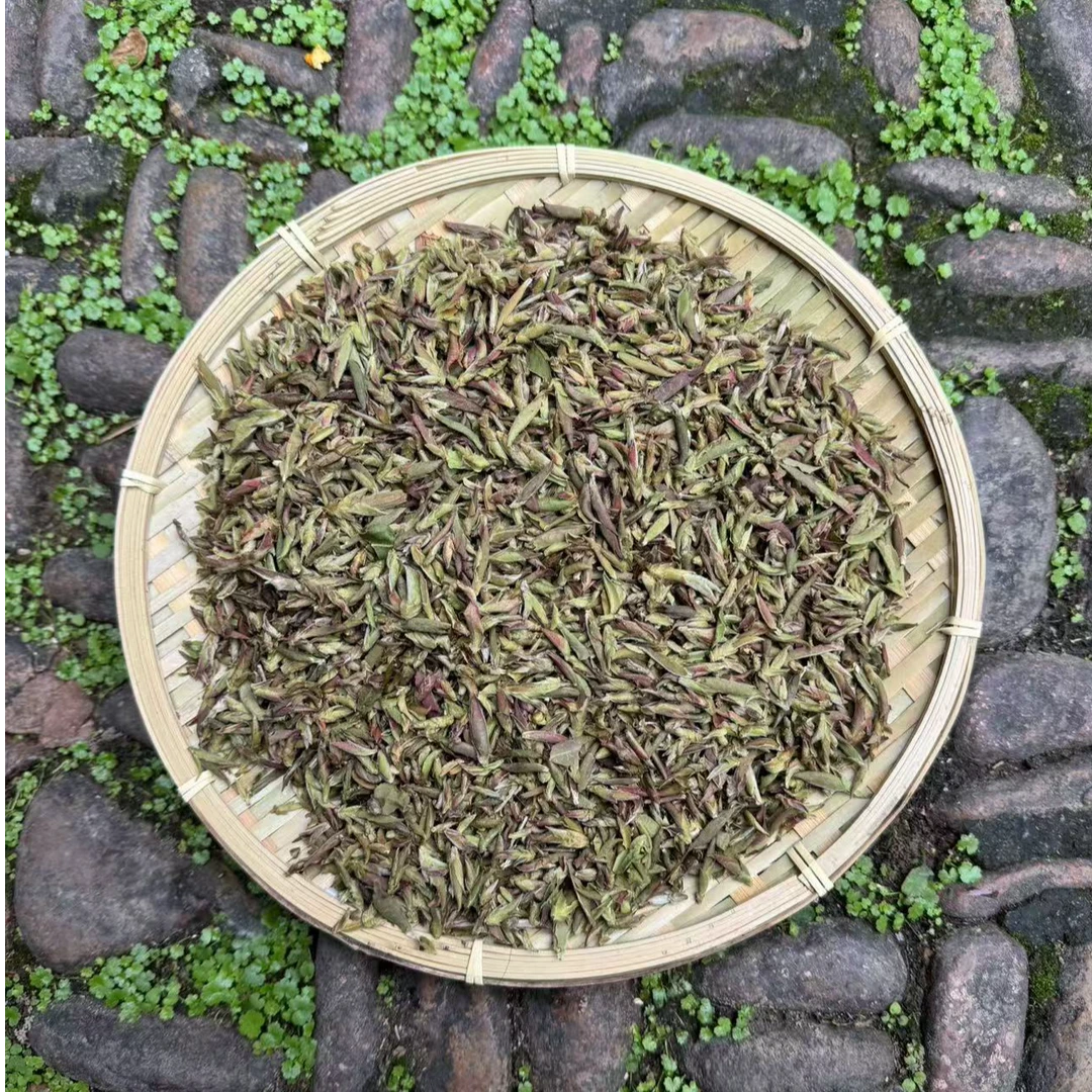 CLS 高山 农家 紫芽苞