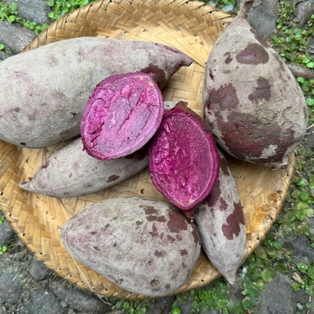 CLS 高山 农家 紫薯