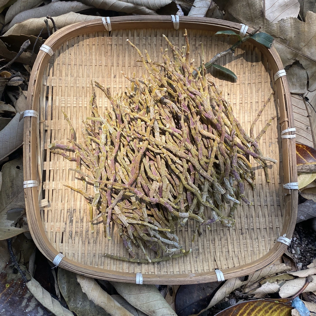 M 高山农家 石 斛 条