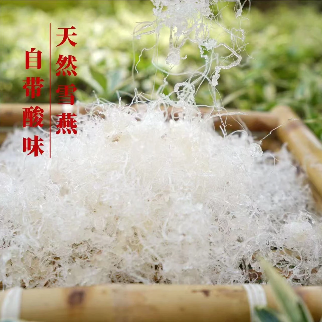 高山 农家 拉丝雪燕