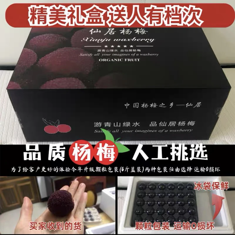 正宗仙居东魁杨105—140颗梅颗粒装果园现摘现发仙居东魁大杨梅