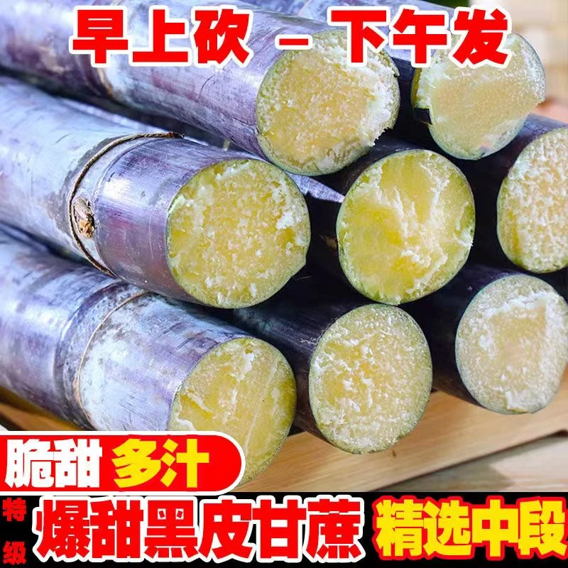 广西脆嫩黑皮甘蔗脆嫩多汁皮薄果蔗新鲜清甜榨汁水果现发1-9斤