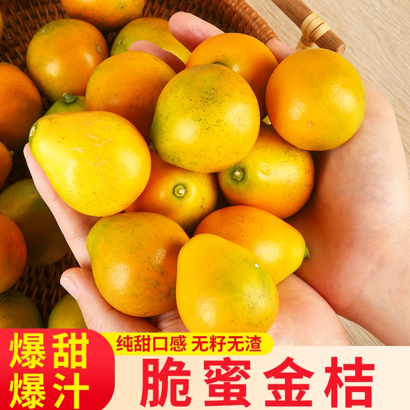 【健汇果园】广西脆蜜金柑第三代纯甜金桔现摘现发新鲜皮薄水果包邮